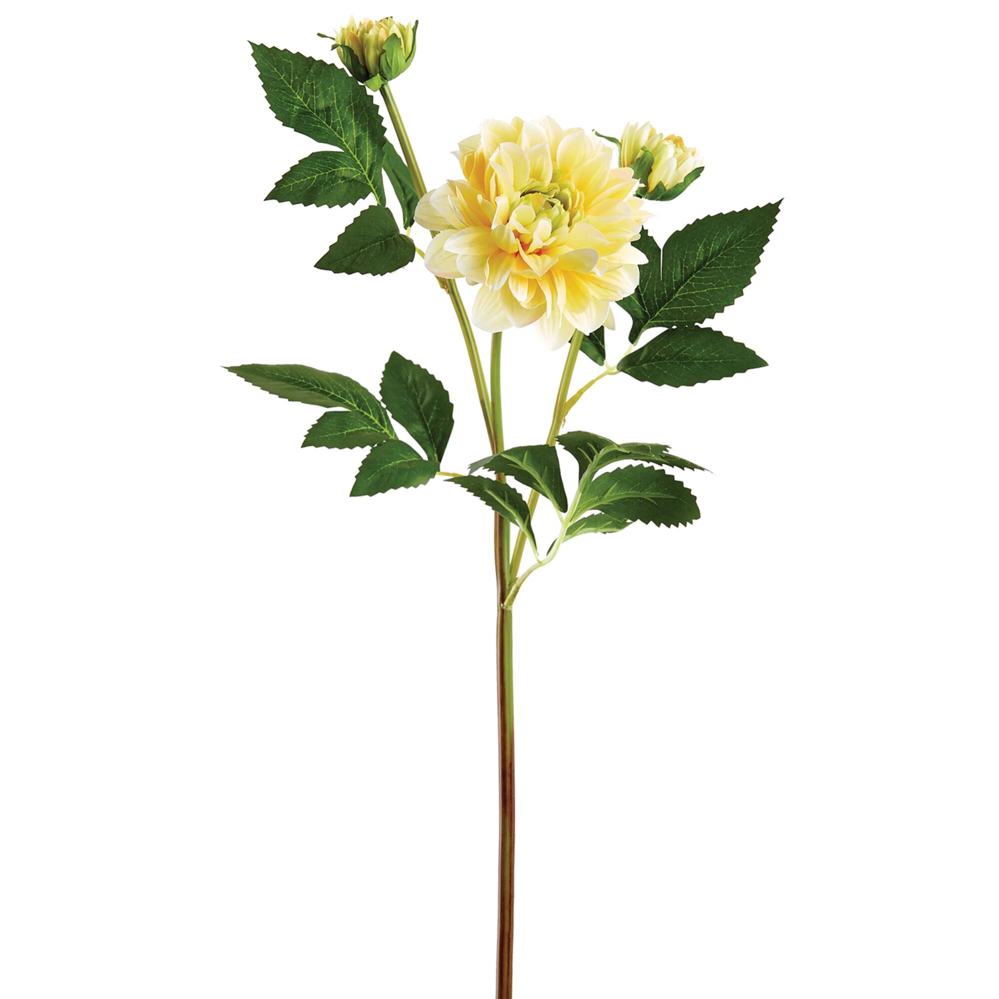 Soft Yellow Dahlia Spray